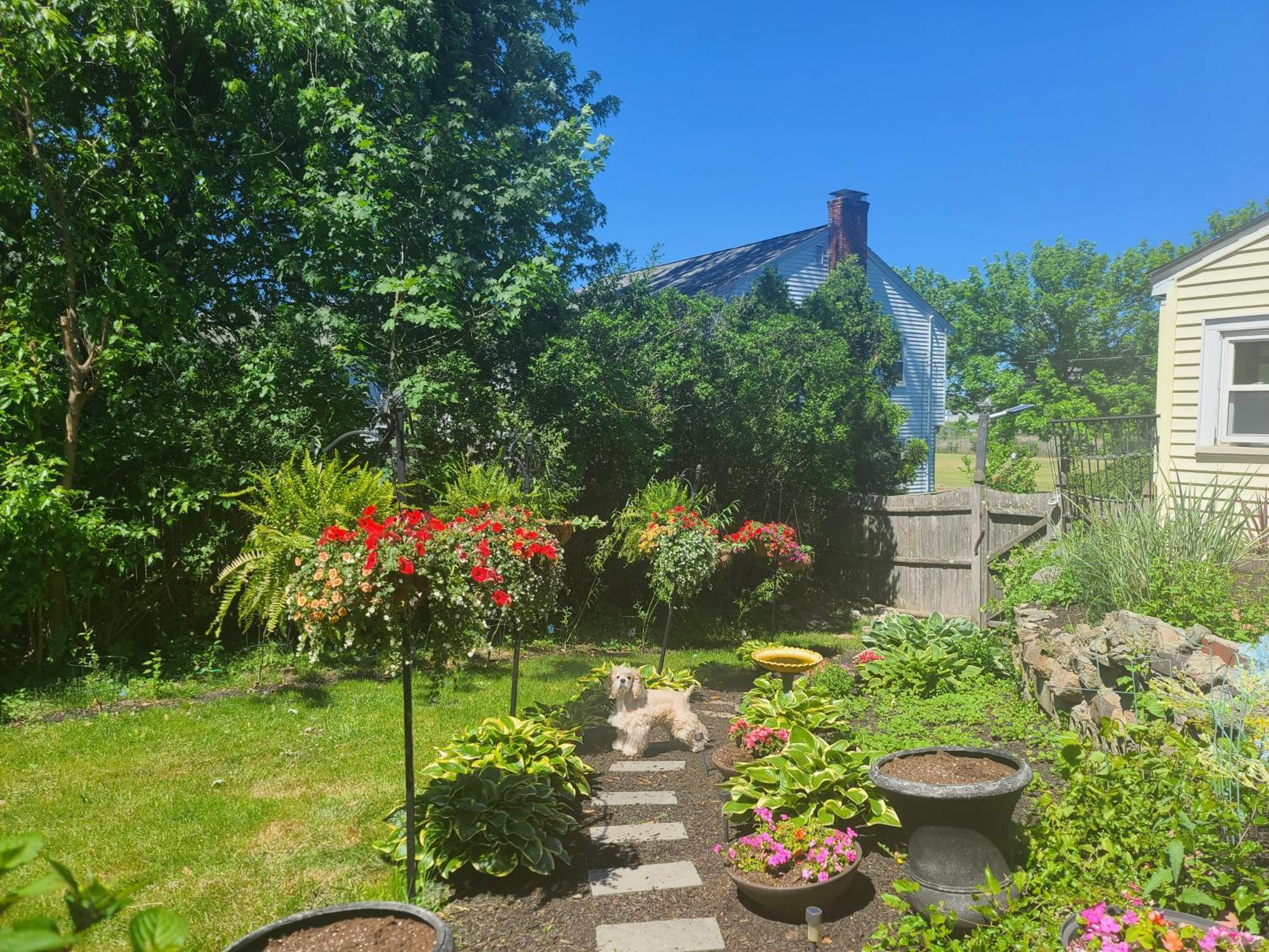 Appartamento Park View South Of Boston - Quincy Esterno foto